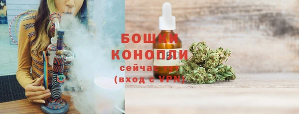 стаф Гусев