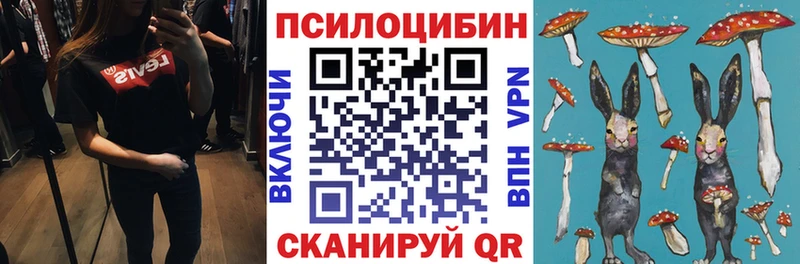 blacksprut как войти  Щёлкино  Псилоцибиновые грибы Psilocybe 